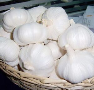 Pure White Garlic